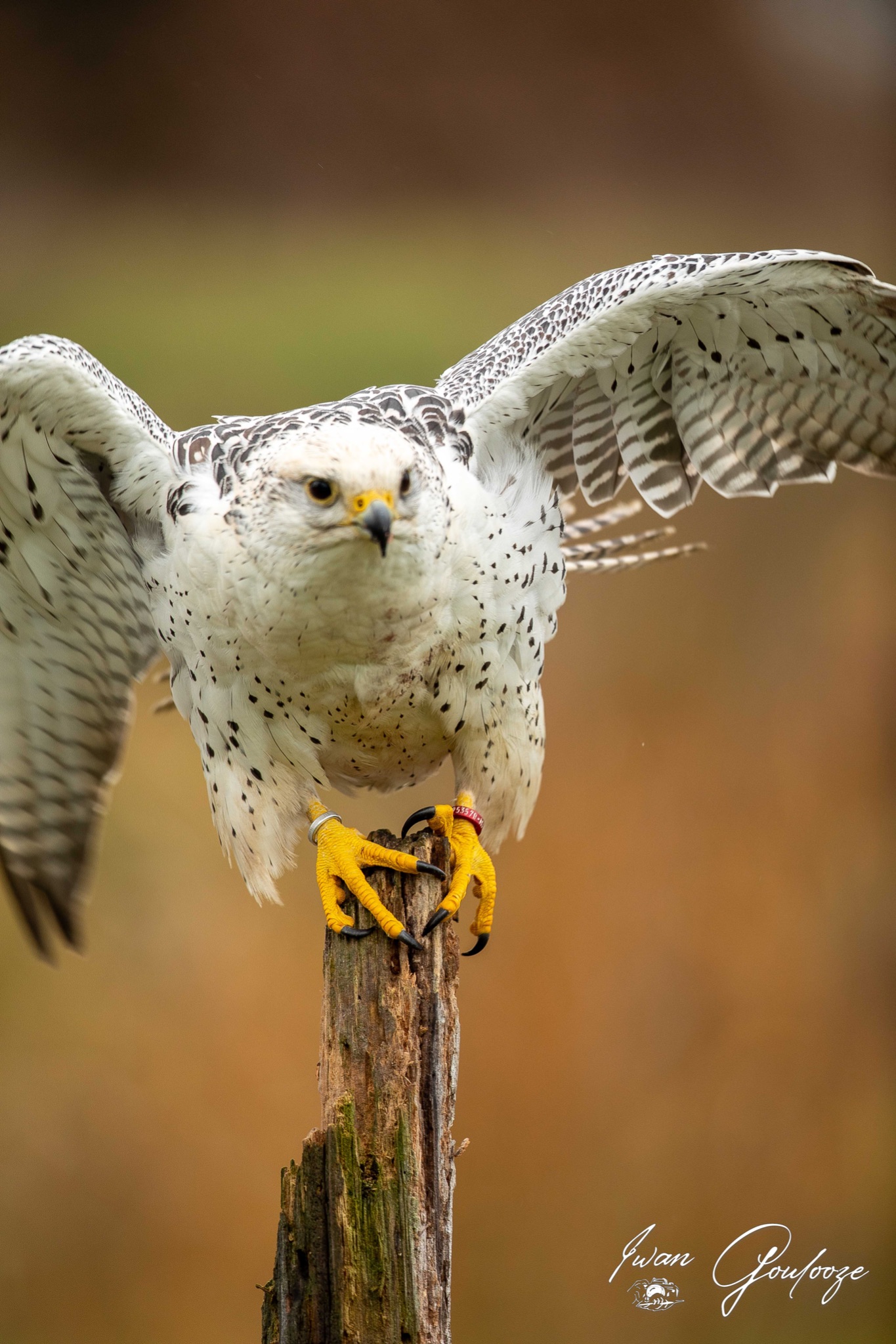  5D40486 28 november 2021 1223 55